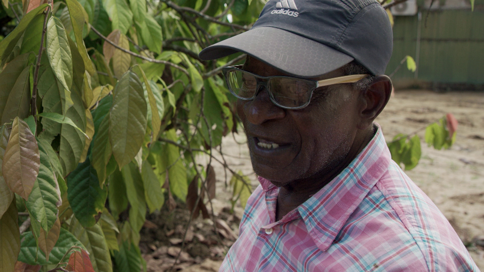 Aller ogen zijn gericht op KWATTA - 22 november 2022