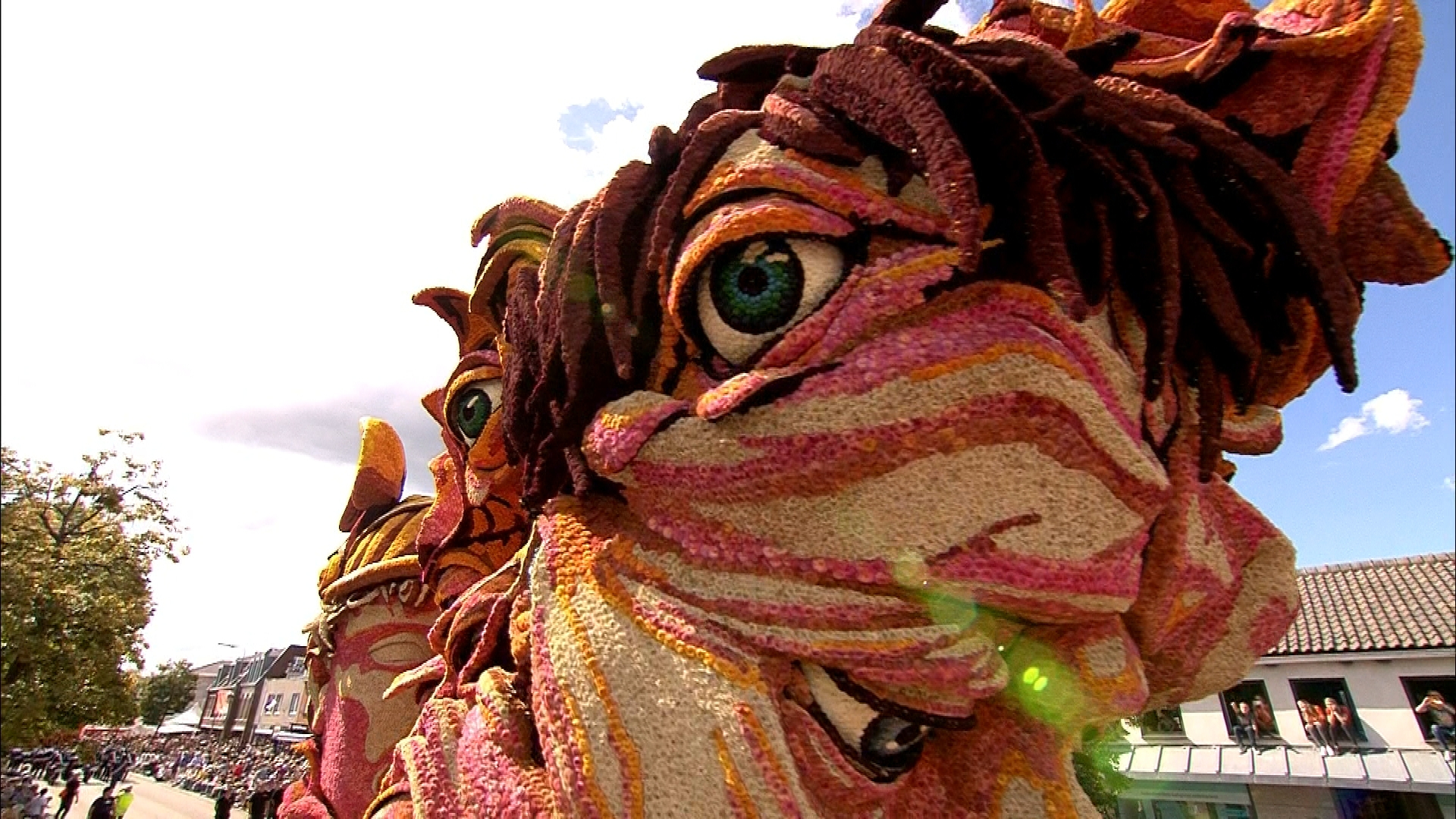 Corso Zundert - 2019 Hoogtepunten