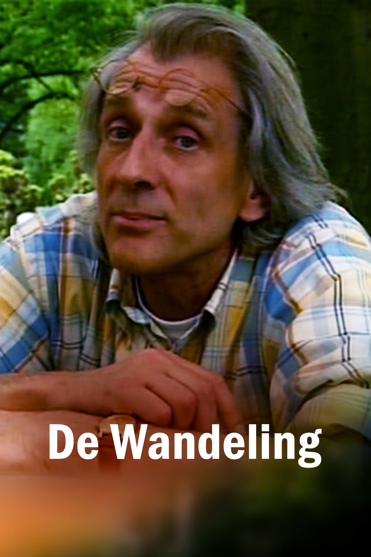 De Wandeling