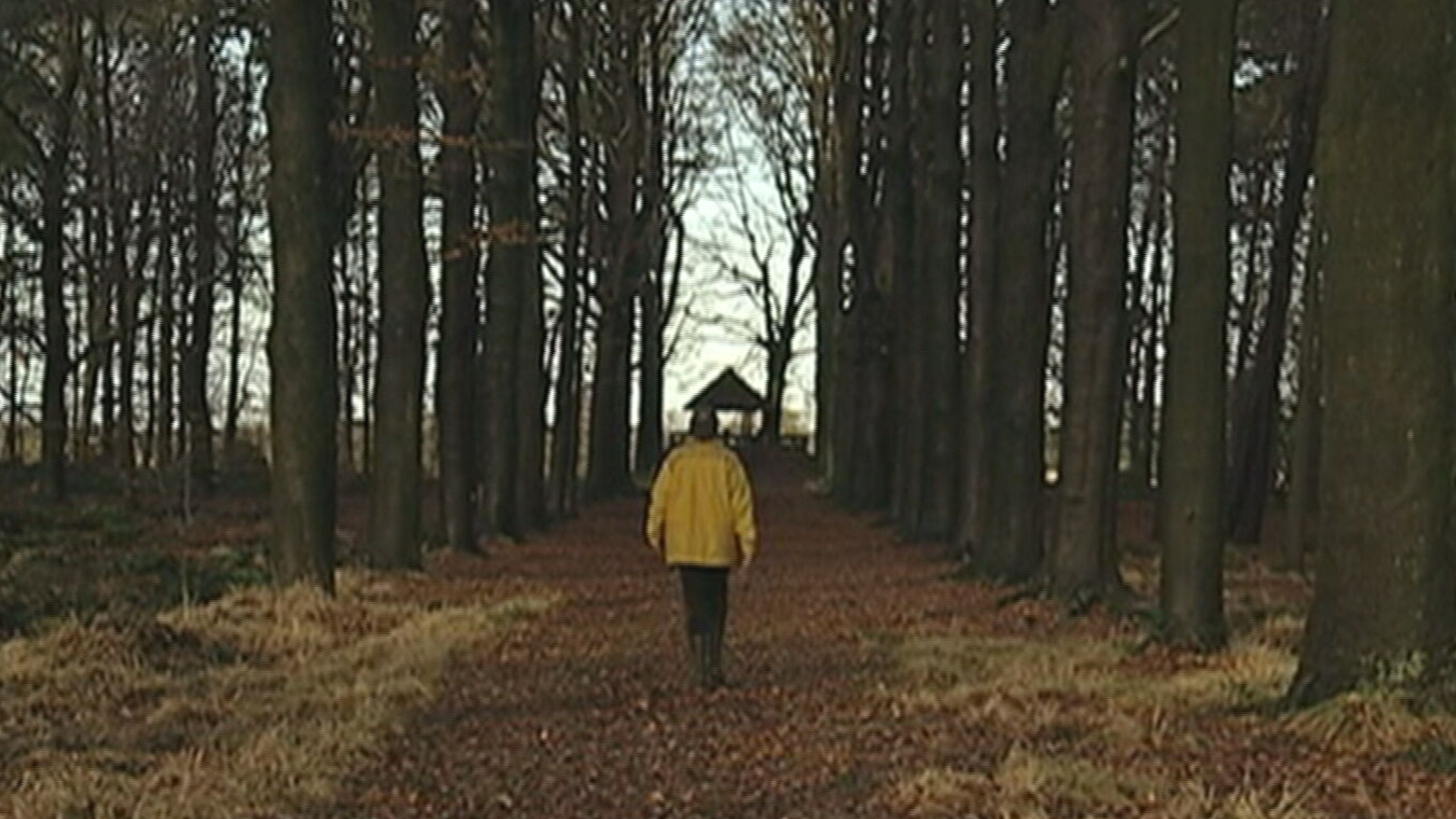 De Wandeling