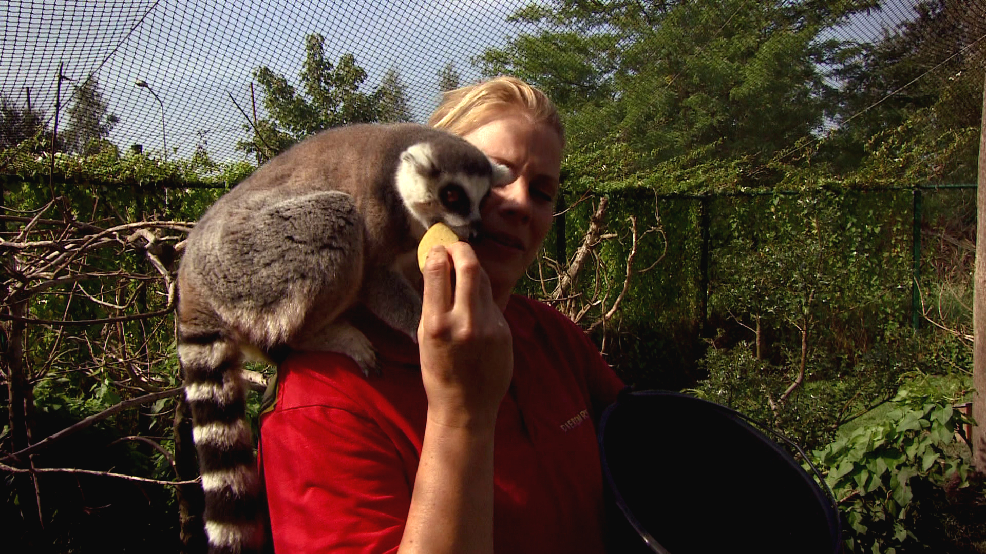 Komt een AAP bij de dokter