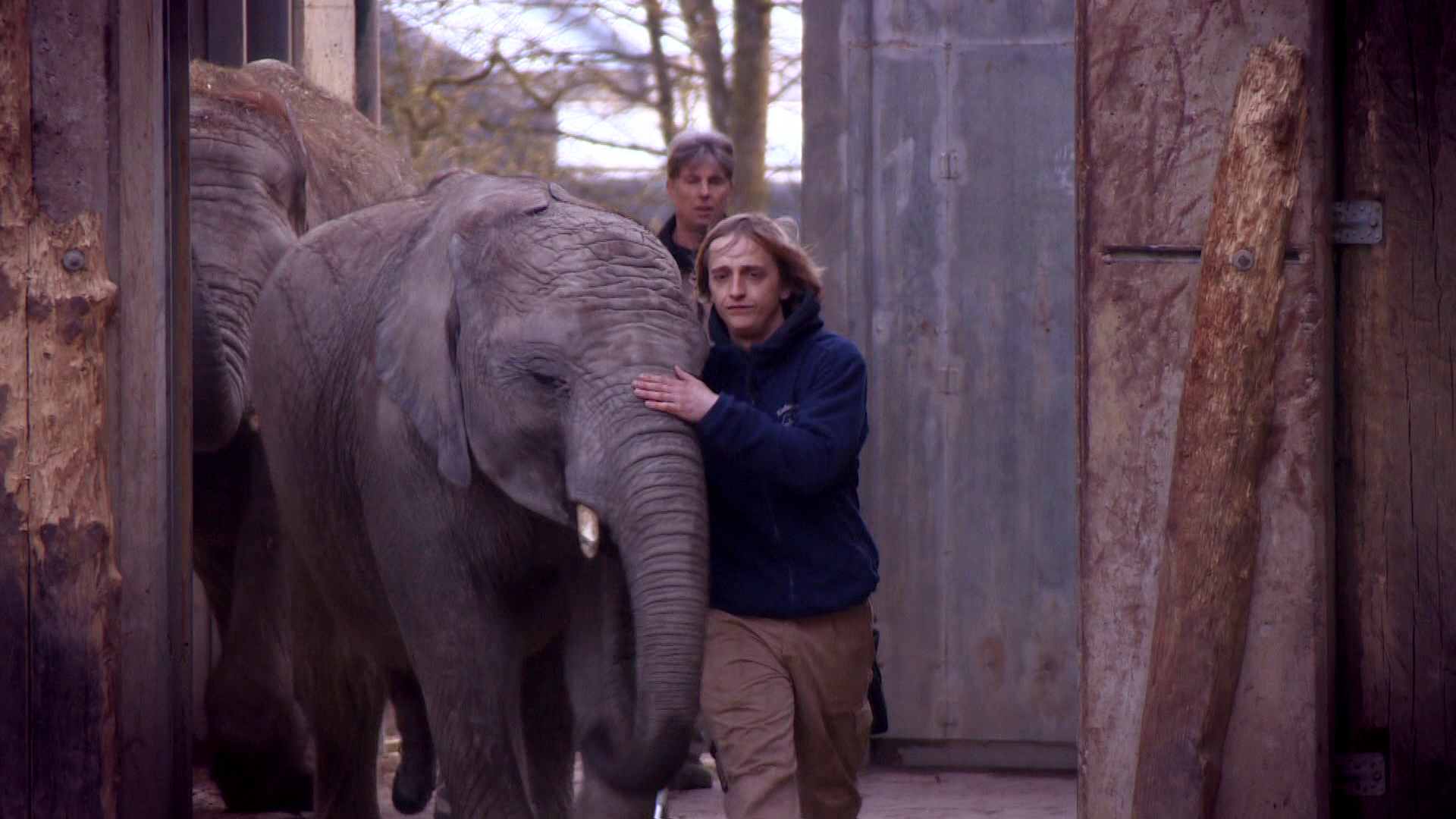 Komt een AAP bij de dokter