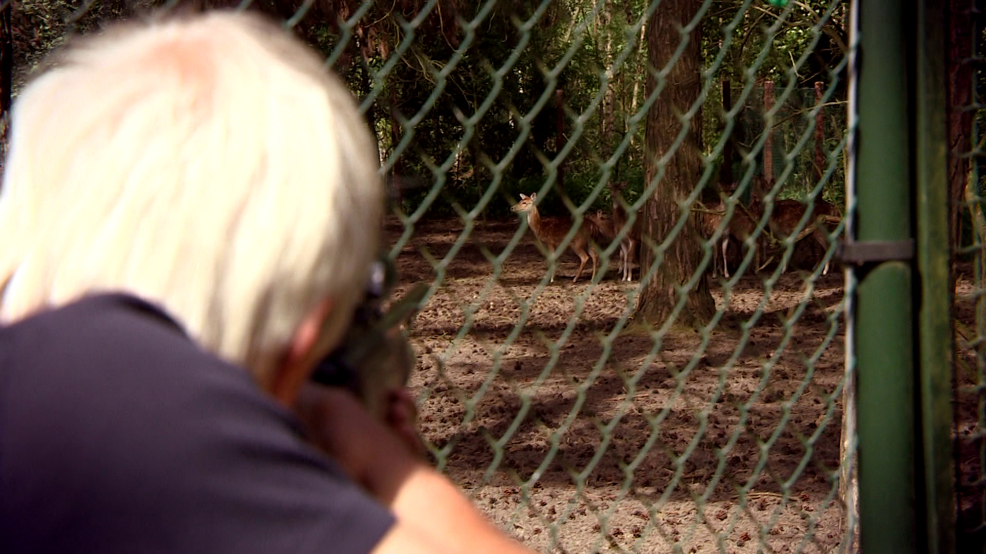 Komt een AAP bij de dokter