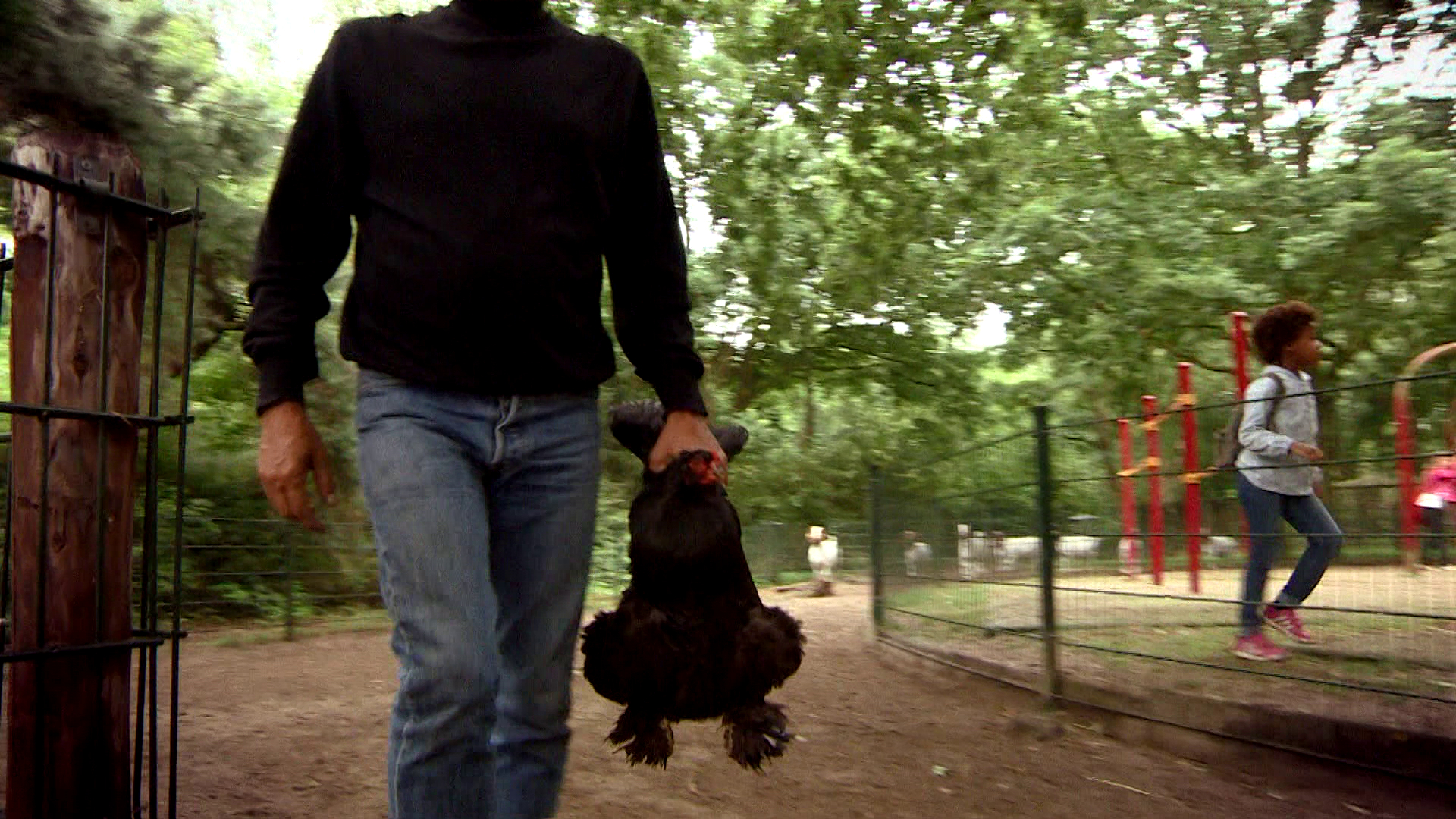 Komt een AAP bij de dokter