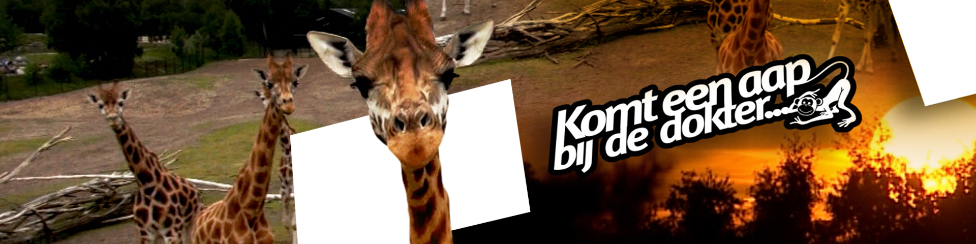 Komt een AAP bij de dokter