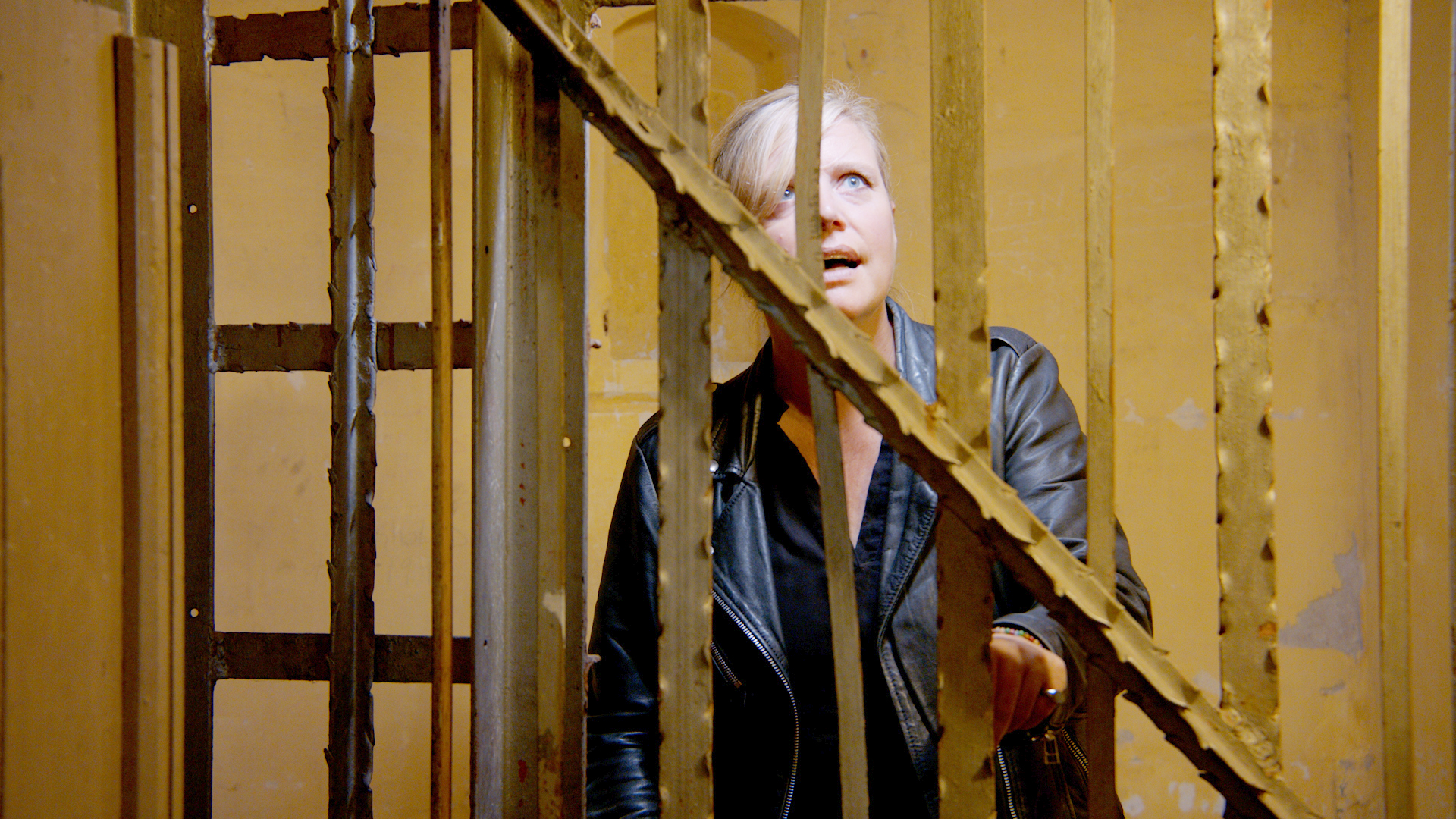 Langs de Hollandse Waterlinies