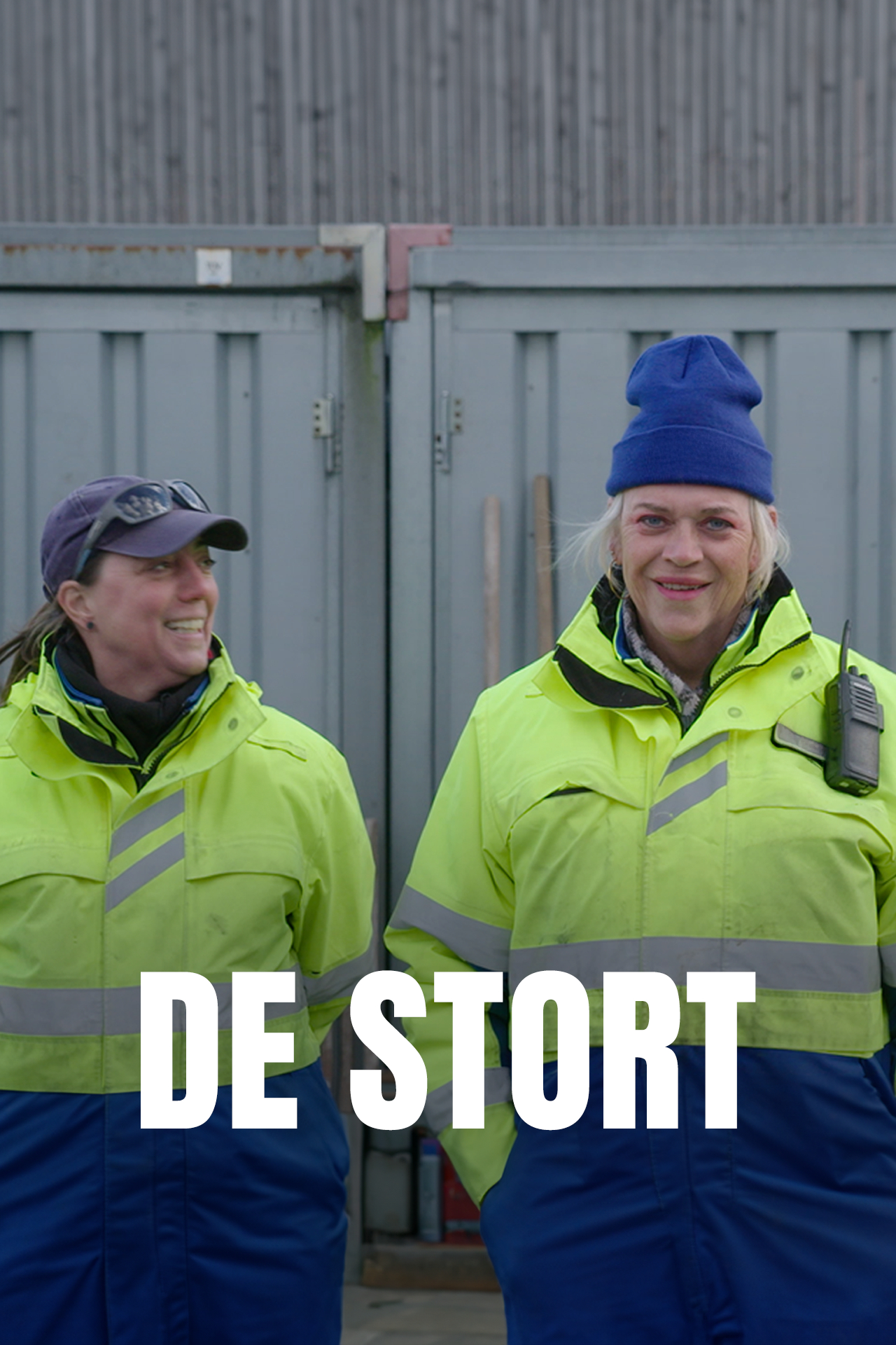 De Stort