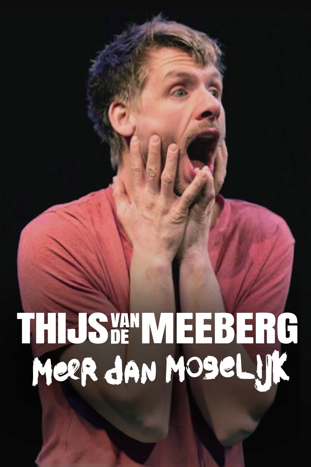 Thijs van de Meeberg - Meer dan Mogelijk