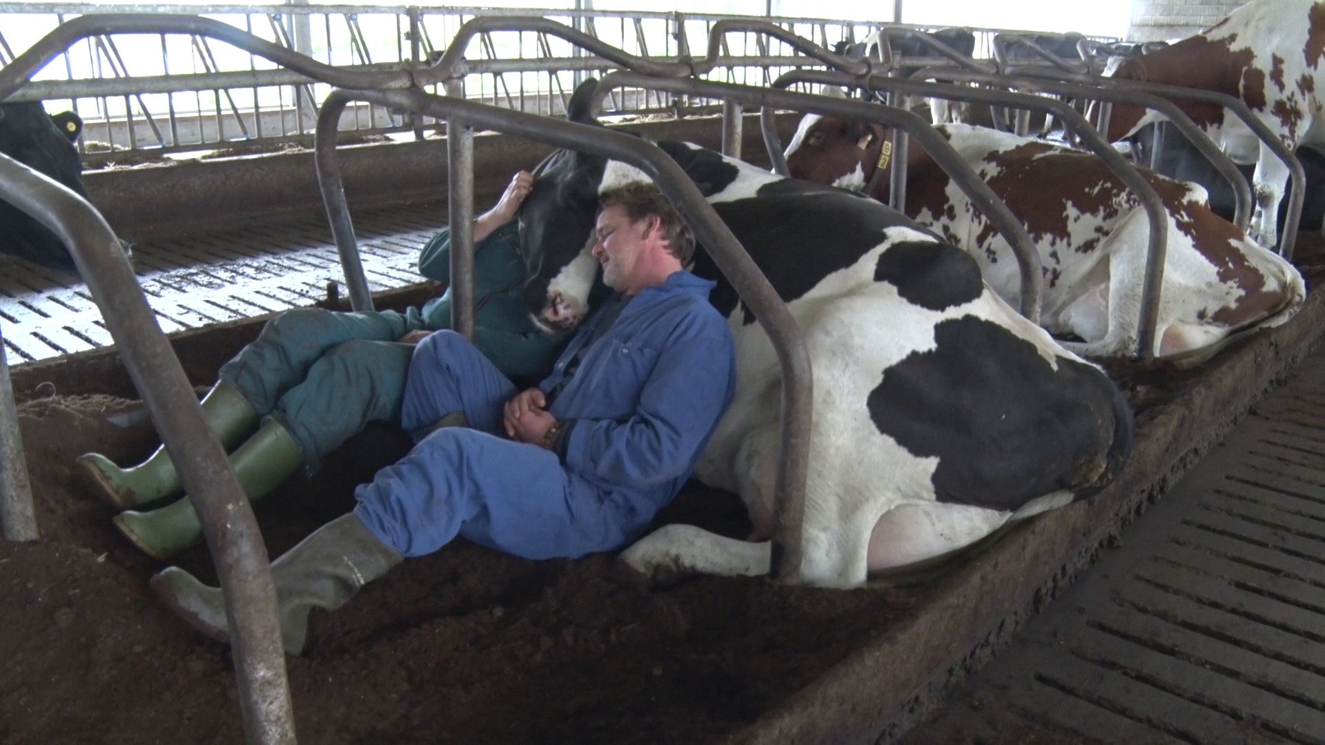 Merlijn over de grens