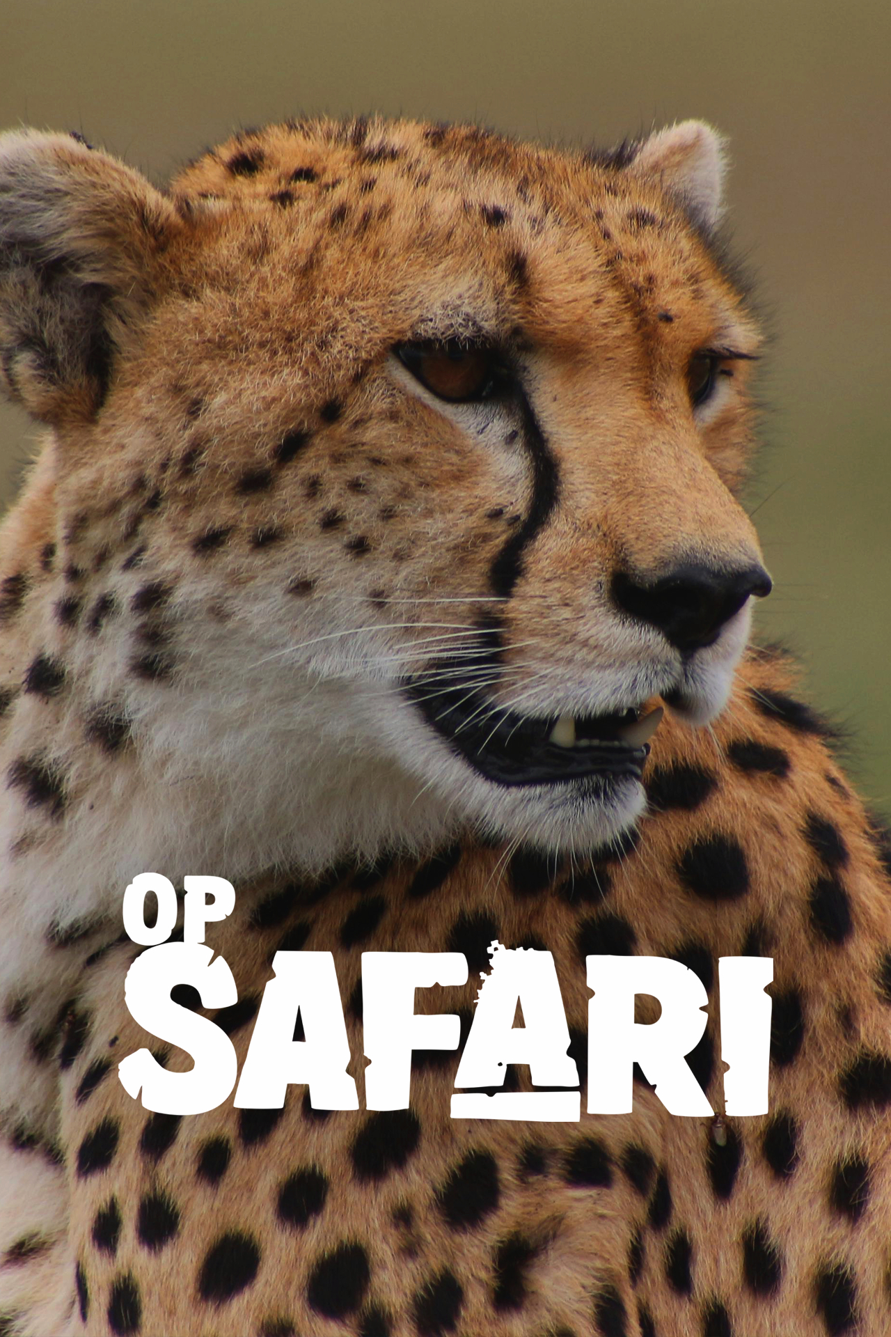 Op Safari