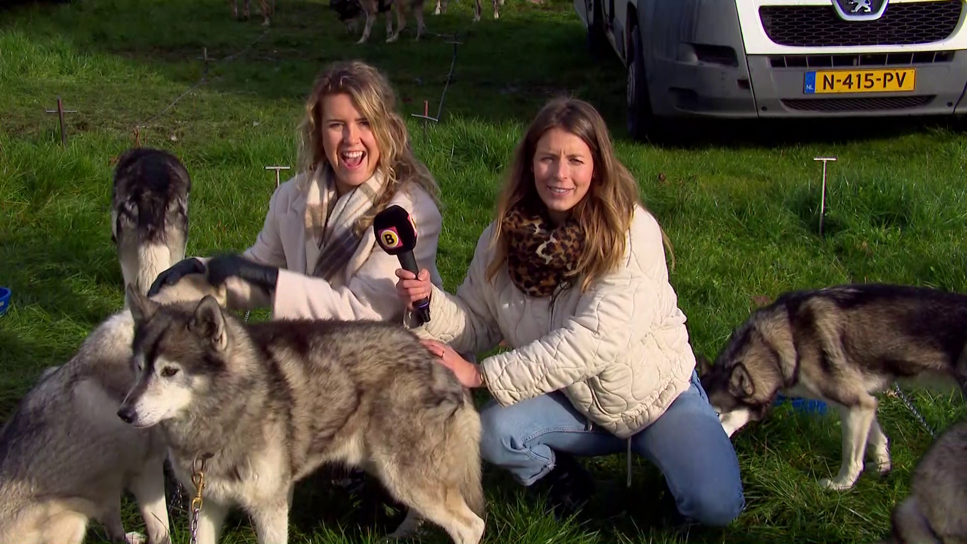 Brabants Buske - 26 november 2022