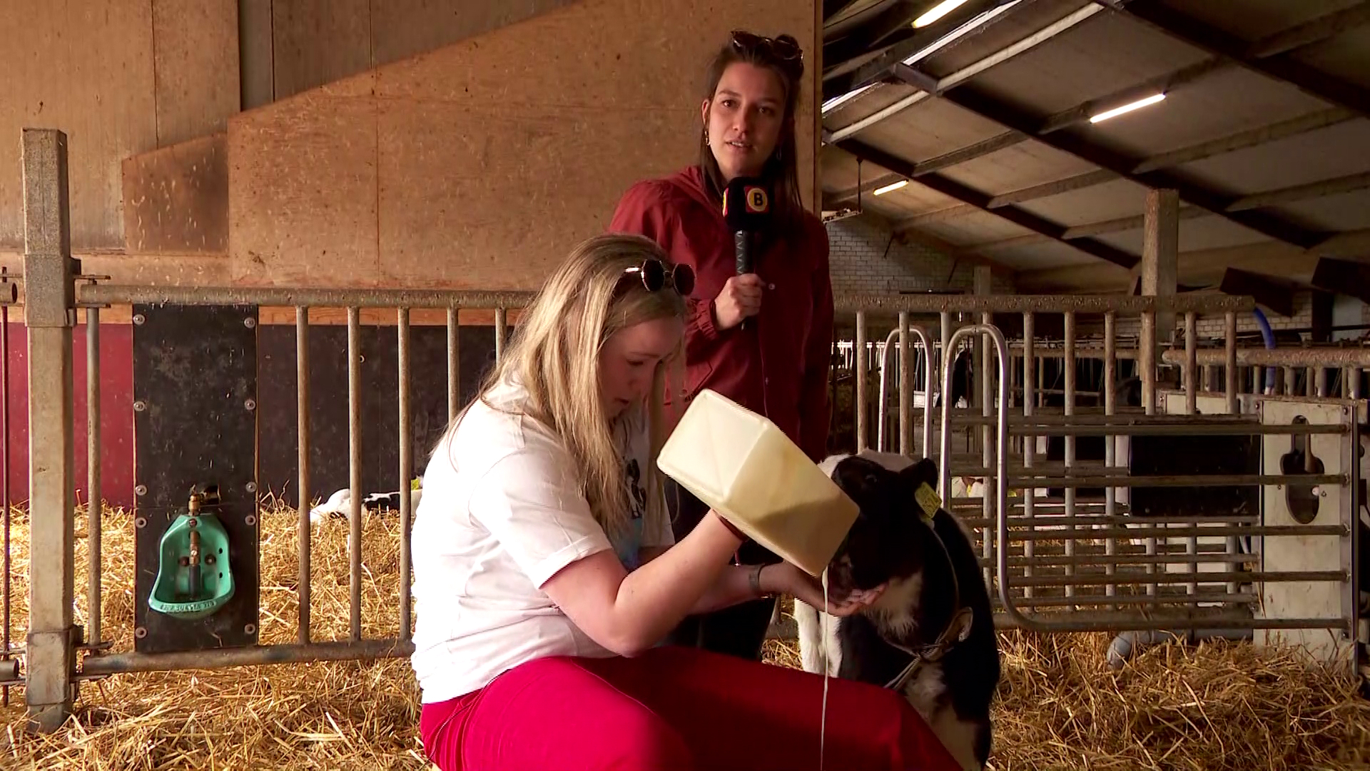 Brabants Buske  - 23 april 2022