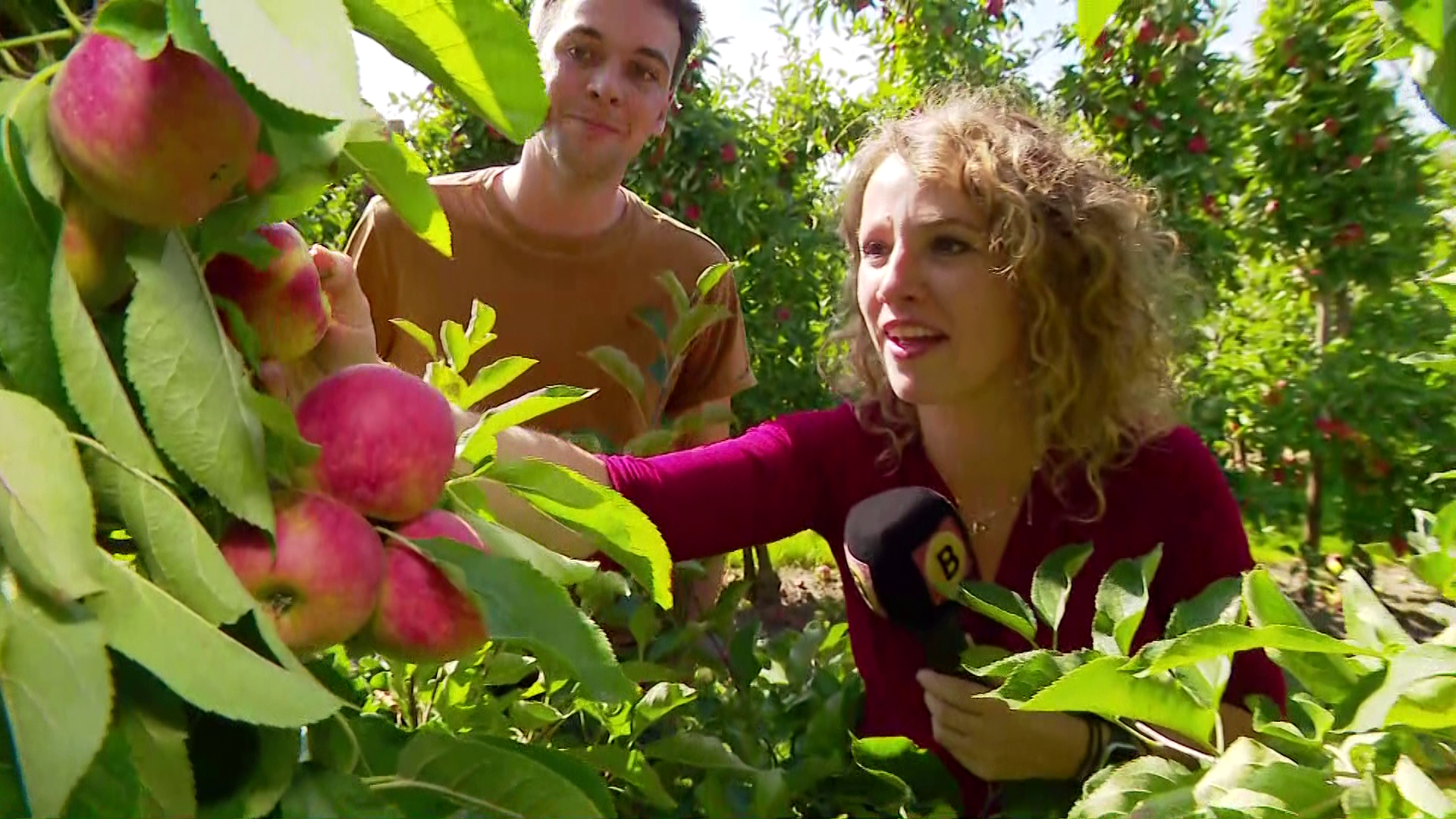 Brabants Buske  - 3 september 2022 