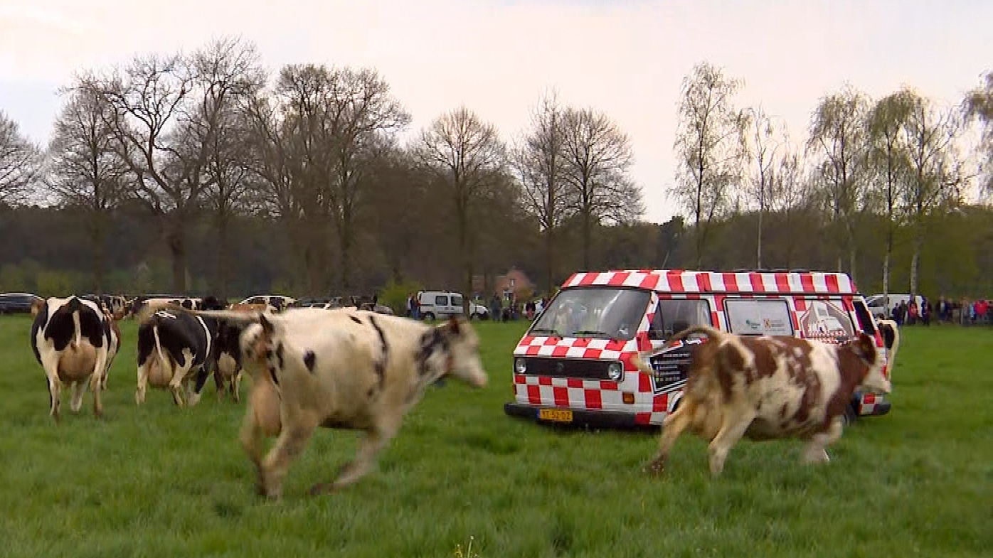 Brabants Buske - 29 april 2023