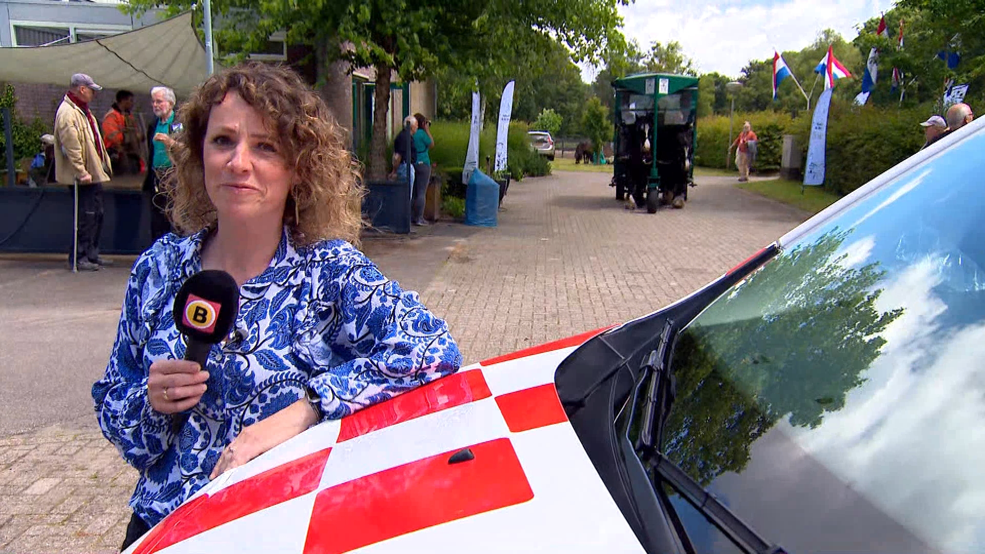 Brabants Buske - 15 juni 2024 