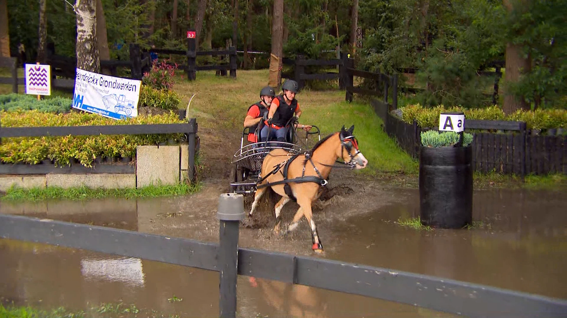 Brabants Buske - 24 augustus 2024 