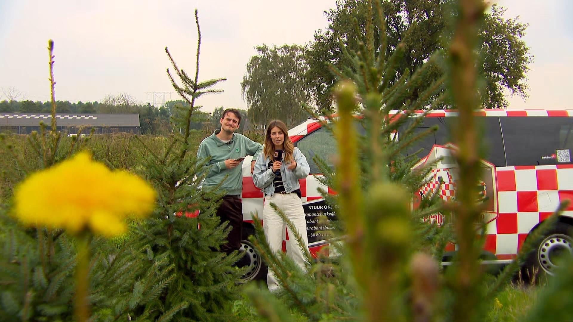 Brabants Buske - 27 september 2025 