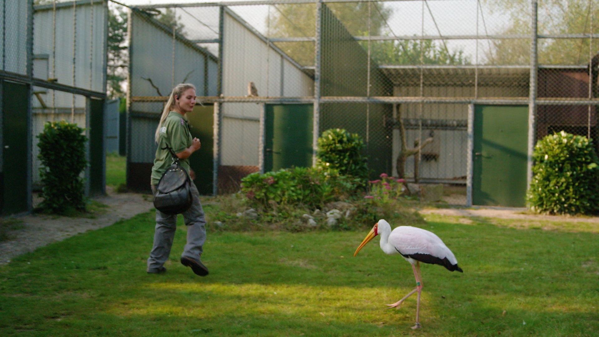 Op Safari - Aflevering 5