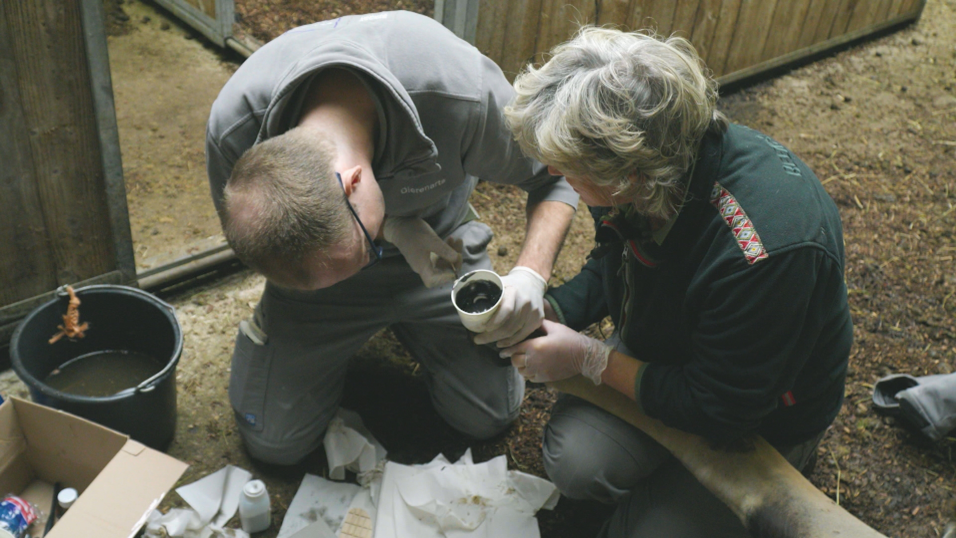 Op Safari - Aflevering 6