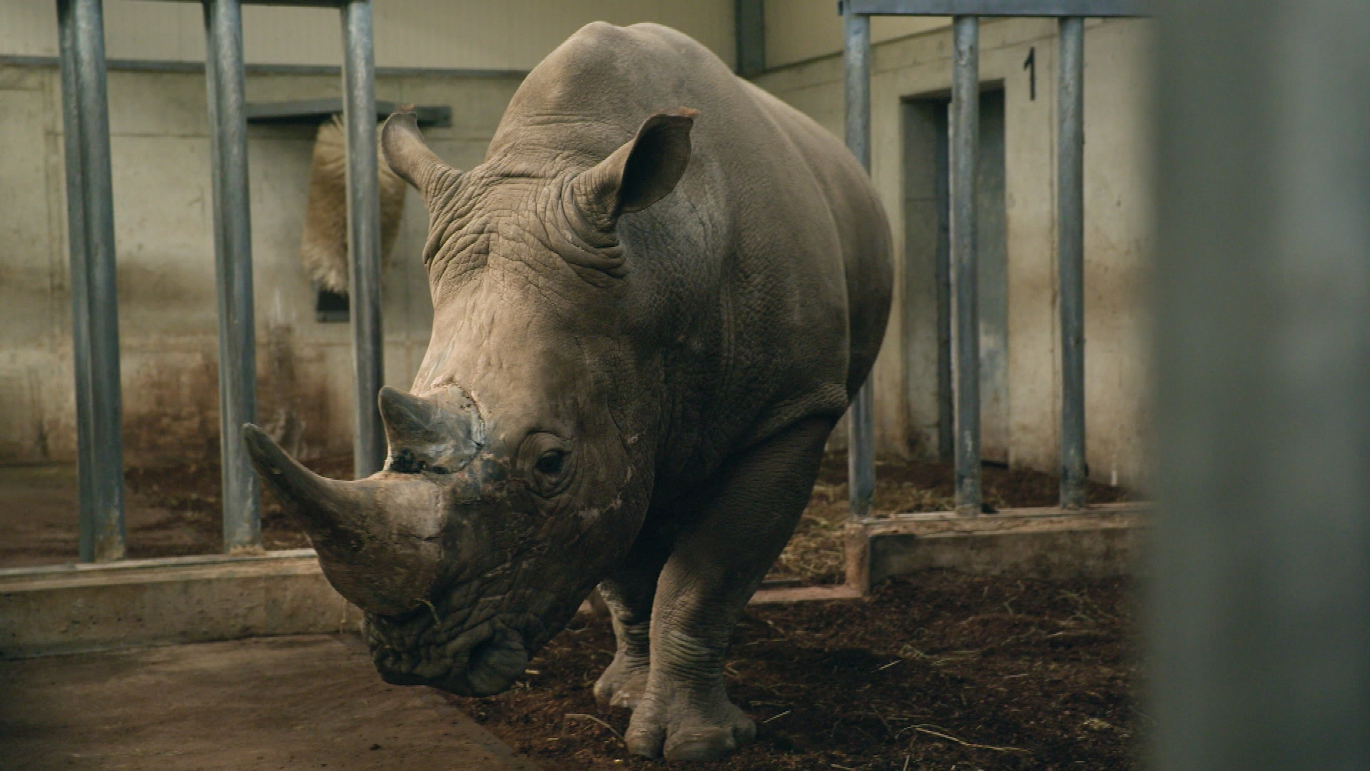 Op Safari - Aflevering 7