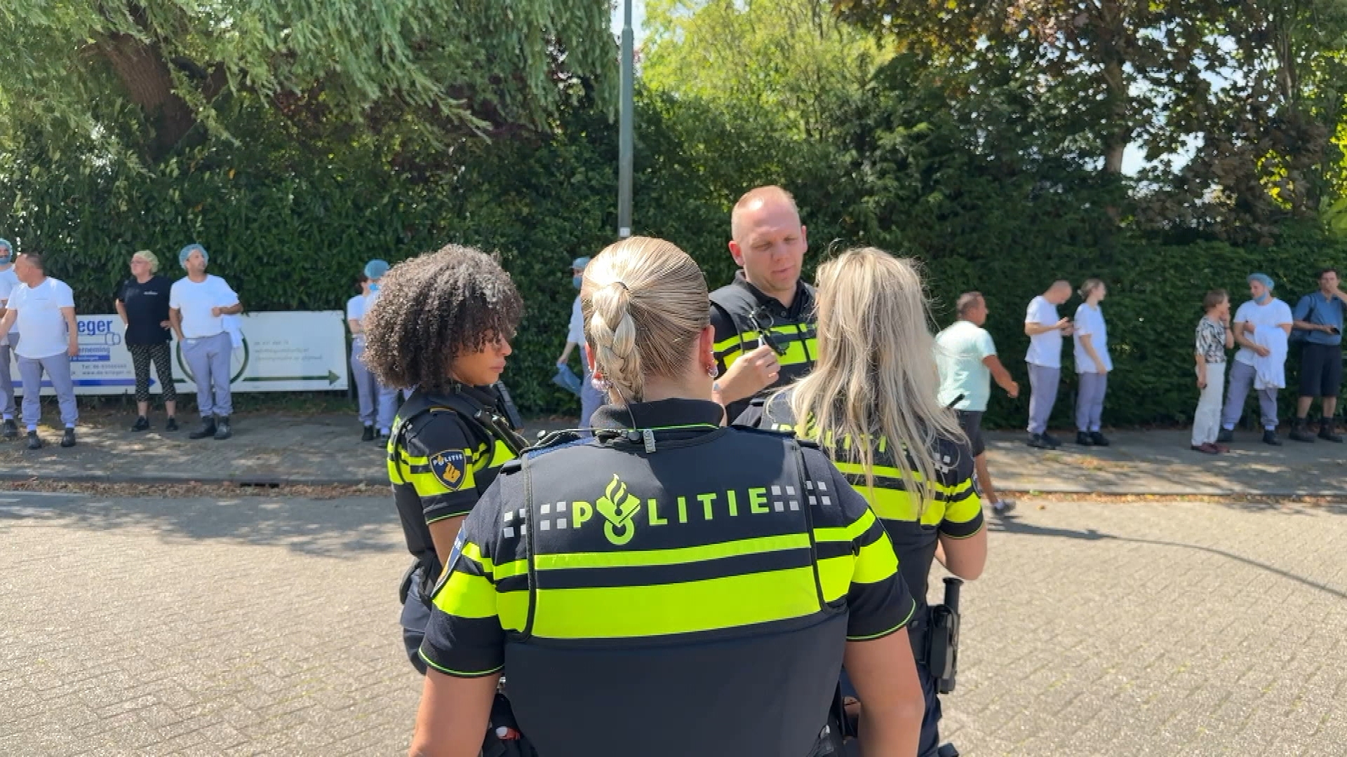 Bossche Blauwe - Aflevering 3