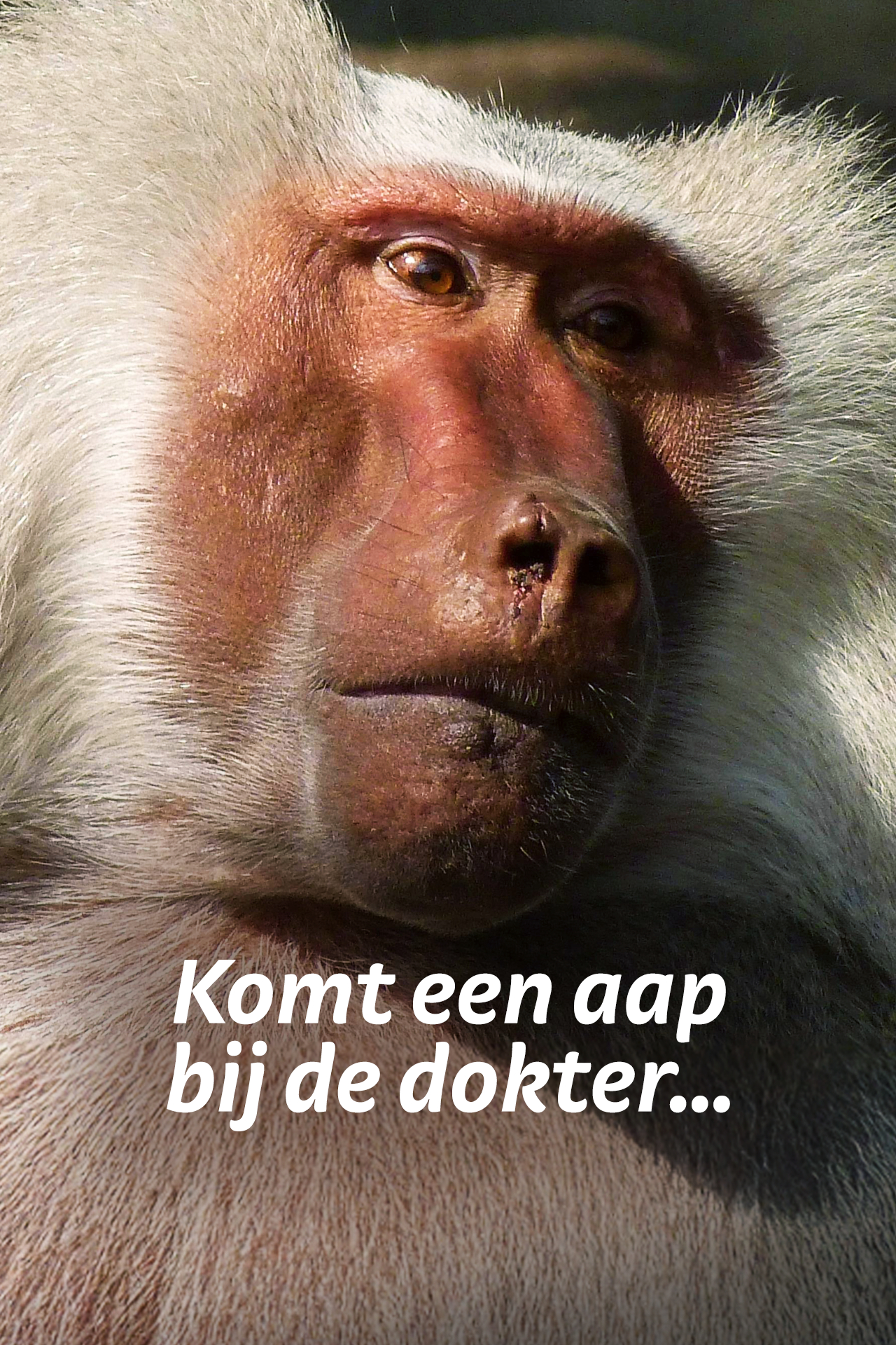 Komt een AAP bij de dokter 