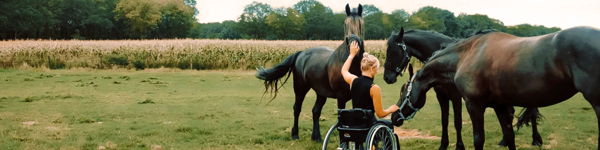 From wheels to heels