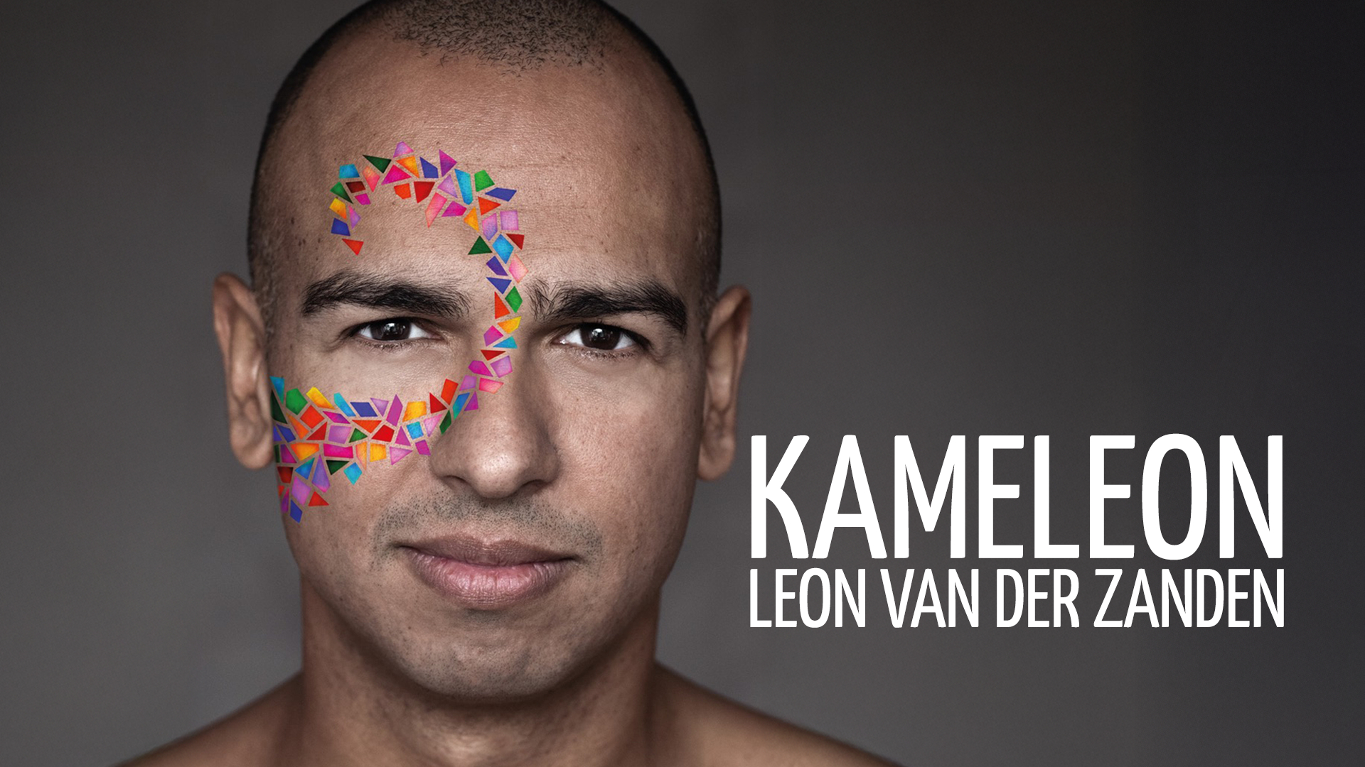 Leon van der Zanden - Kameleon