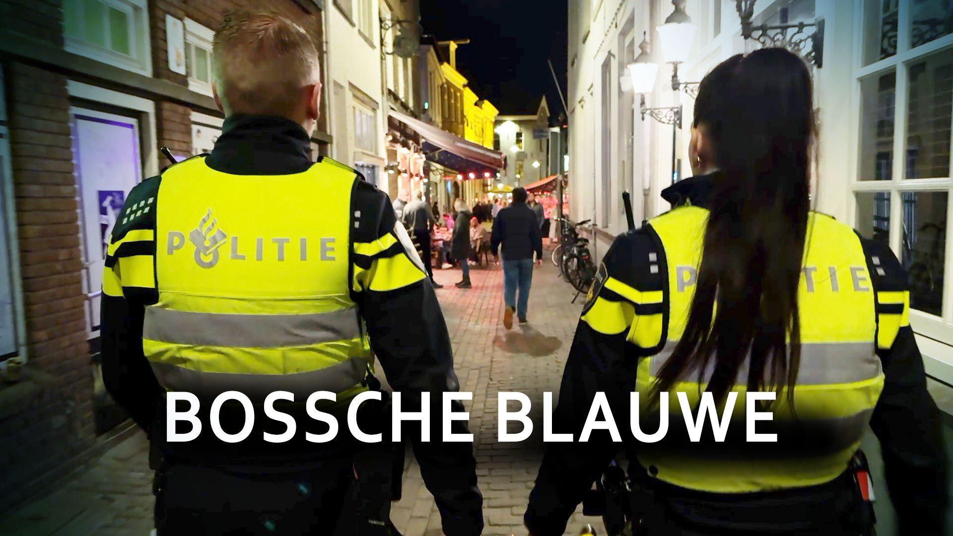 Bossche Blauwe